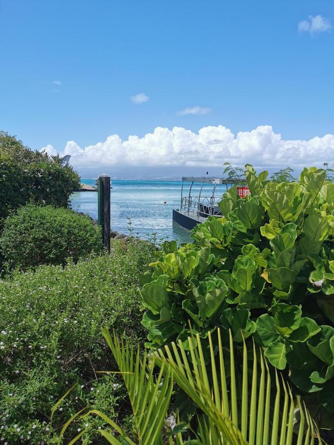 לה גוסייר La Creole T3 Lumineux A 1Mn De La Plage מראה חיצוני תמונה